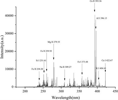Quantitative analysis of fertilizer using laser-induced breakdown spectroscopy combined with random forest algorithm